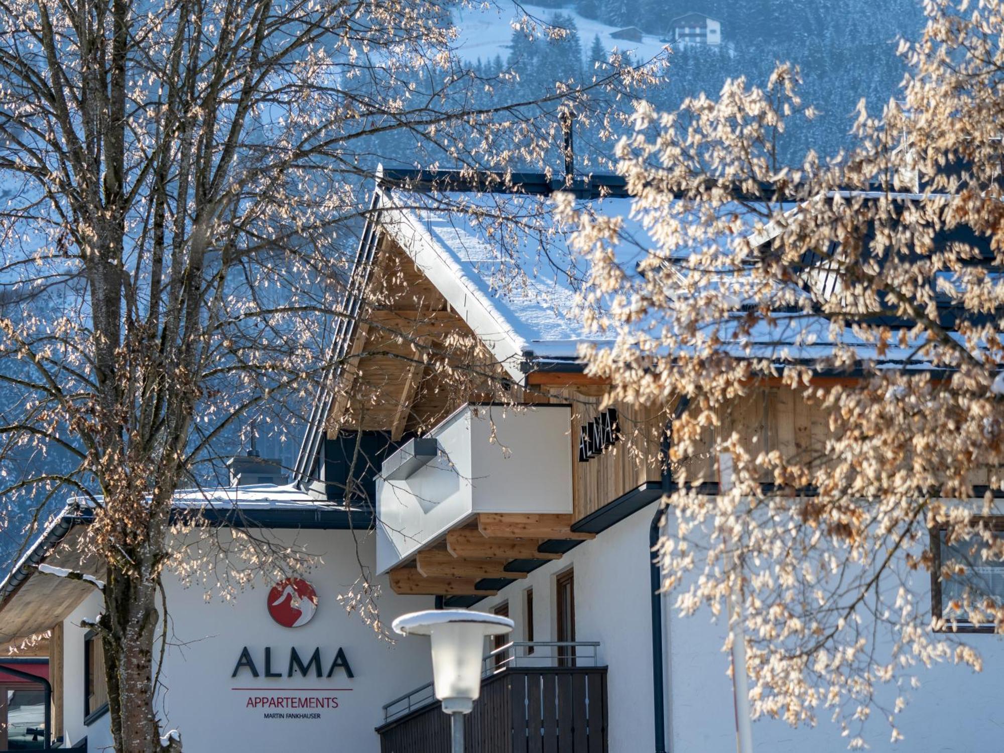 Appartements Alma Mayrhofen Kültér fotó