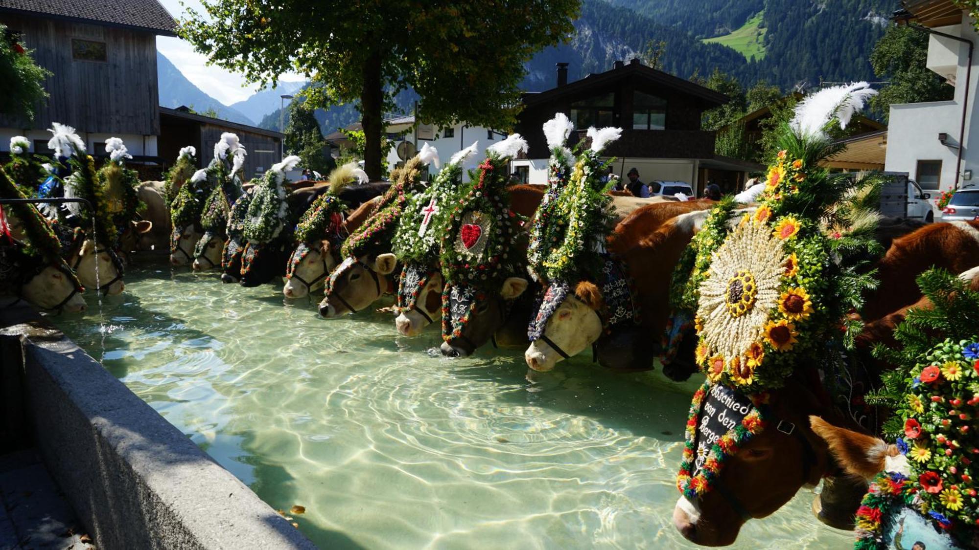Appartements Alma Mayrhofen Kültér fotó